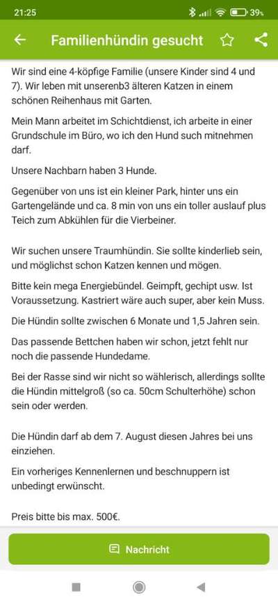 Einfache, familientaugliche Anfängerhunde-Beitrag-Bild