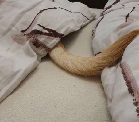 Challenge 21 - wo bin ich : )-Beitrag-Bild