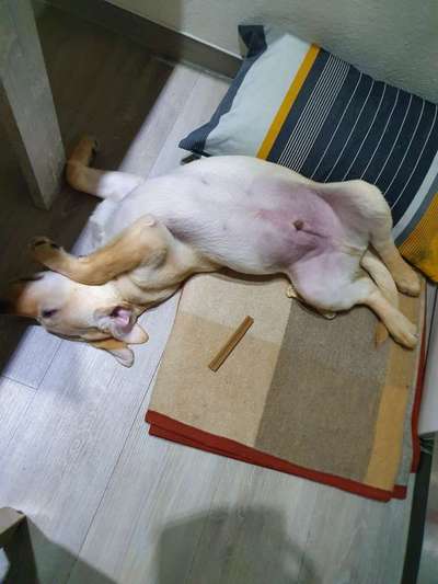 Die unbequemsten und lustigsten Schlafpositionen-Beitrag-Bild