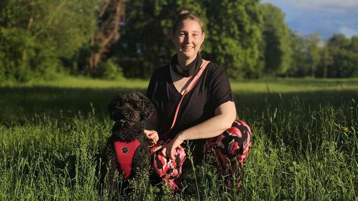 Giftköder-Kennenlernen- unverbindlich & kostenlos-Bild