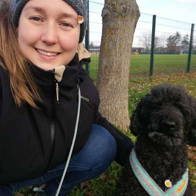 Hundeschulen-Pfoten im Herzen - mobile Hundeschule München Nord-Bild