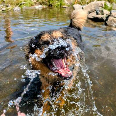 Giftköder-Wasserspiele 5. Juli-Bild