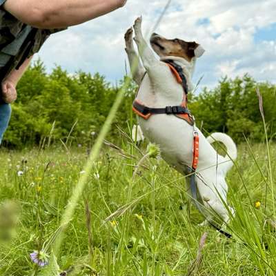 Giftköder-0€ Sprechstunde jeden Montag um 11 Uhr-Bild