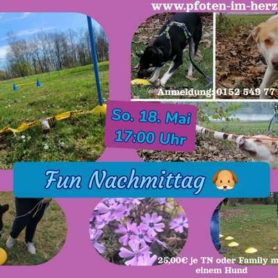 Giftköder-Fun Nachmittag So. 18 Mai 17 Uhr-Bild