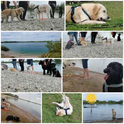 Giftköder-Tagesausflug 🐟🐕 Baden Sept.-Bild