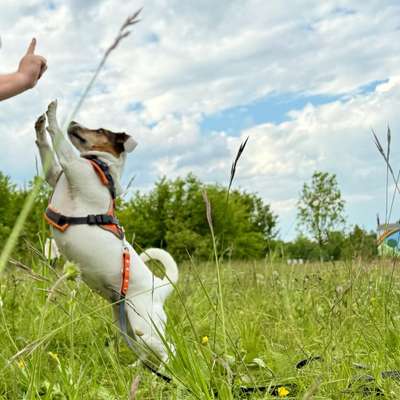 %{de_profession_title}-Einzelstunde-Bild