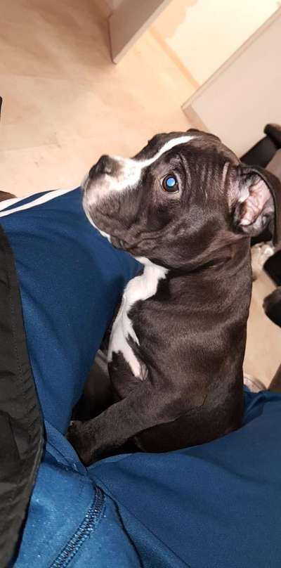 Sie werden so schnell erwachsen ...-Beitrag-Bild