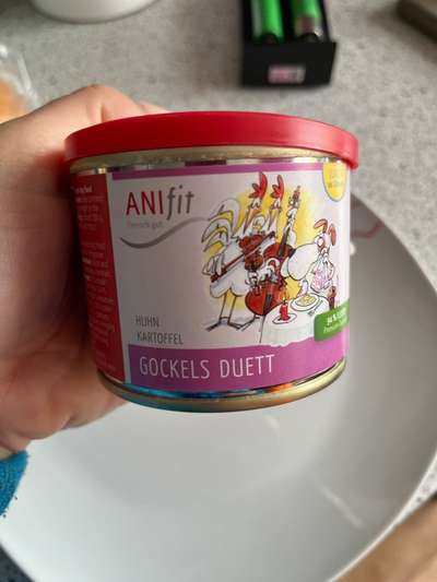 Welpe verträgt vieles nicht-Beitrag-Bild