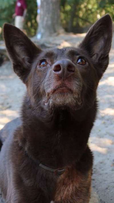 Fotochallange Nr. 57     PORTRÄT.   Beendet!!!!!!!!-Beitrag-Bild