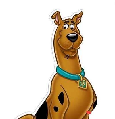 Wie heißt dein Hund?-Beitrag-Bild