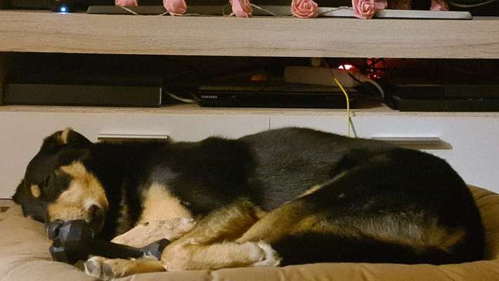 Fotowettbewerbe-Beitrag-Bild