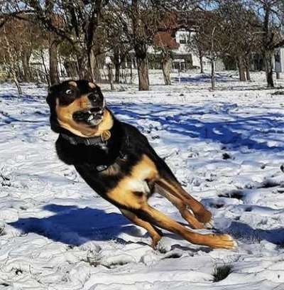 Fotochallange 84-Beitrag-Bild