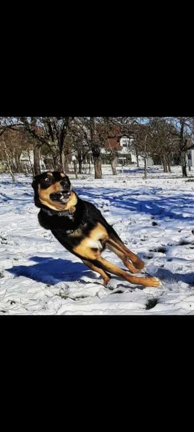 20. Handy -Foto-Callenge-Beitrag-Bild