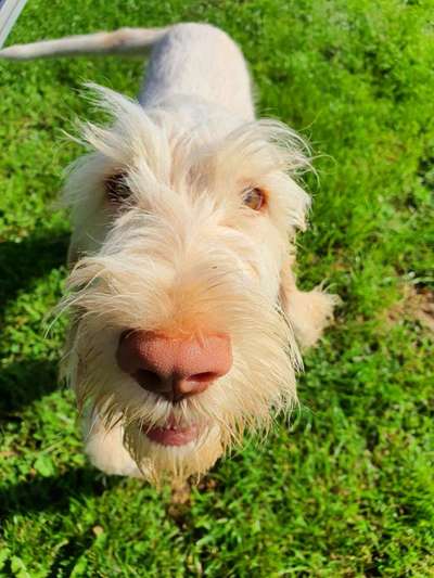 Fotochallange Nr. 6 Die irrsten Blicke-Beitrag-Bild