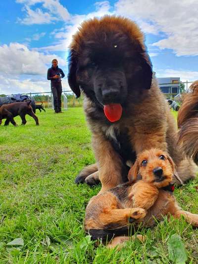 Fotochallange Nr. 6 Die irrsten Blicke-Beitrag-Bild