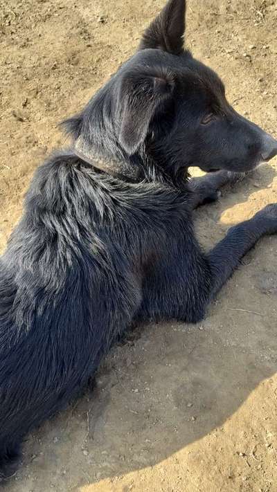 Was macht ihr am liebsten?-Beitrag-Bild