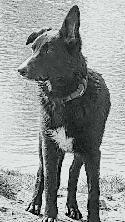 Foto-Challenge 76: Foto in Schwarz-Weiss-Beitrag-Bild