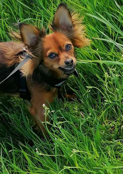 Fotowettbewerb Natur-Beitrag-Bild