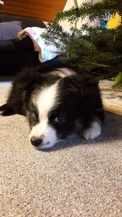 Sie werden so schnell erwachsen ...-Beitrag-Bild