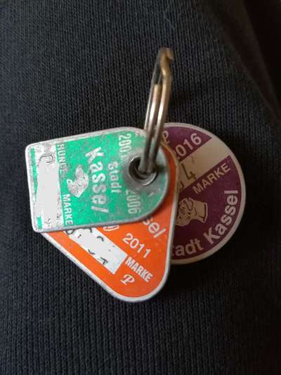 Hunde Memes-Beitrag-Bild