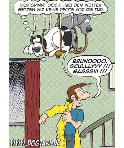 Hunde Memes-Beitrag-Bild