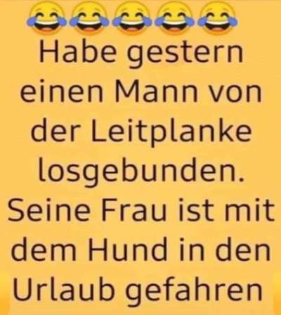 Hunde Memes-Beitrag-Bild