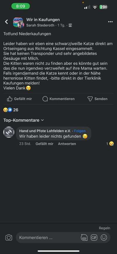 Entlaufene, Gefundene und Vermisste Hunde-Beitrag-Bild