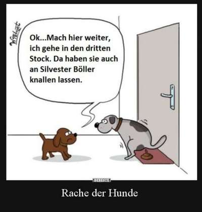 Hunde Memes-Beitrag-Bild