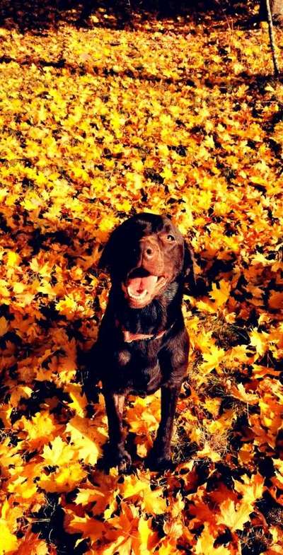 Immer lächeln !-Beitrag-Bild