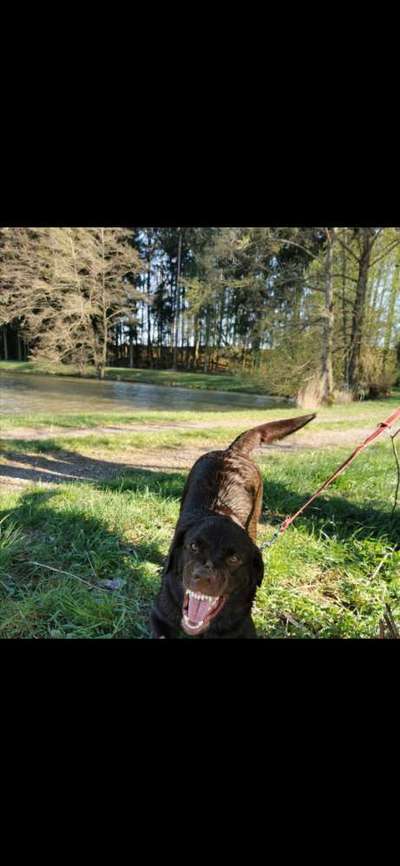 Fotochallange Nr. 6 Die irrsten Blicke-Beitrag-Bild