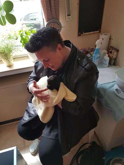 Das erste Foto-Beitrag-Bild