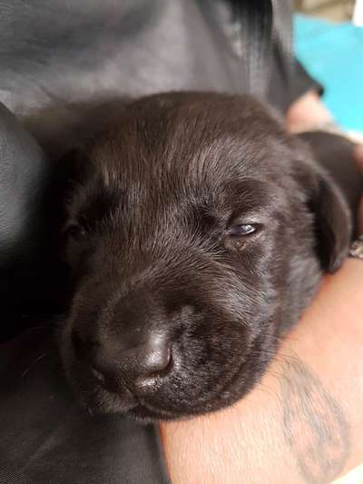 Das erste Foto-Beitrag-Bild