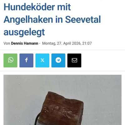 Giftköder-Fleisch mit Angelhaken-Bild