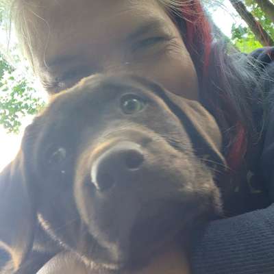 Hundetreffen-Treffen zum gemeinsamen Spielen-Profilbild