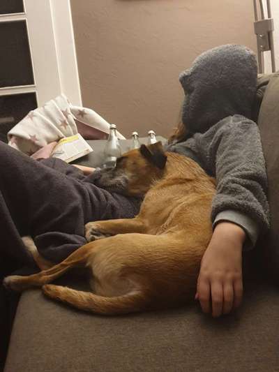 Challenge Nr 14
Eure Fellnasen auf ihrem Lieblingsplatz-Beitrag-Bild