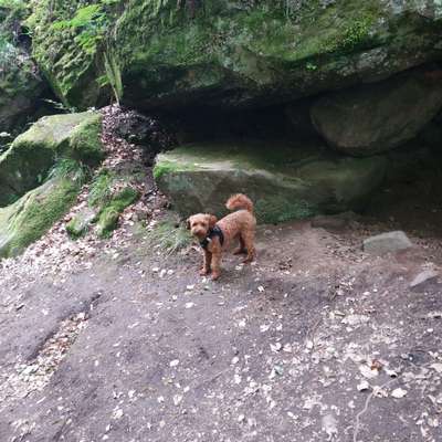 Daniela's Profilbild