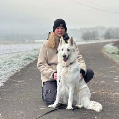 Hundeschulen-BabsK Hundetraining-Bild