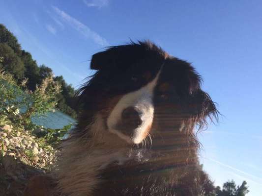 %{de_profession_title}-Einzeltraining-Bild