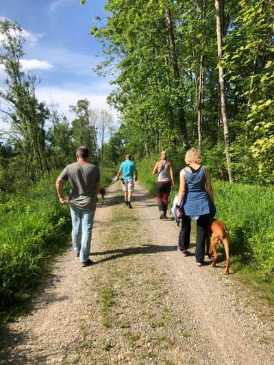 Giftköder-Gruppenspaziergang-Bild