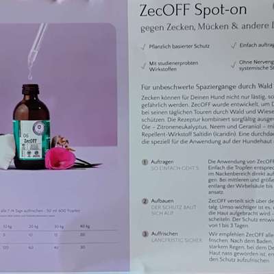 aktuelles Foto Gruppe Gesundheit und Pflege