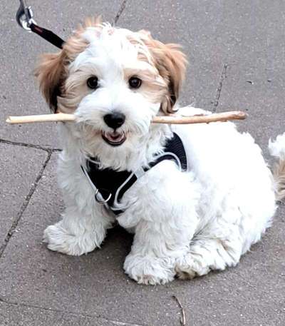 Lieblings Fotos-Beitrag-Bild