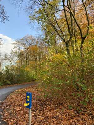 Hundeauslaufgebiet-Stattrop Aue-Bild