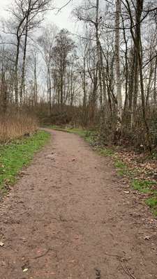 Hundeauslaufgebiet-Wattenscheid Kruppwald-Bild