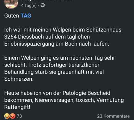 Giftköder-Giftköder-Bild