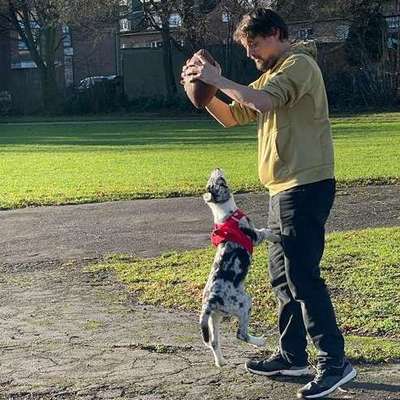 Hundetreffen-Gassi / Spielen-Profilbild