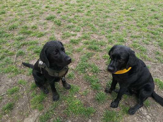 Fotochallenge 88-Beitrag-Bild