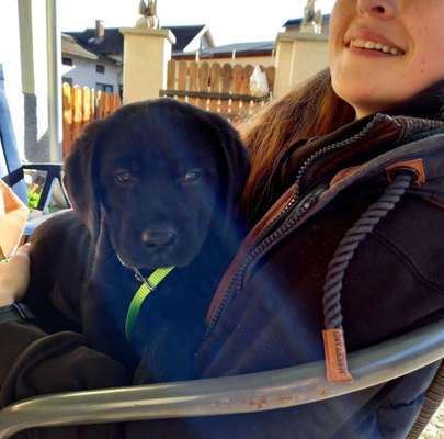 Foto Challenge 82-Beitrag-Bild