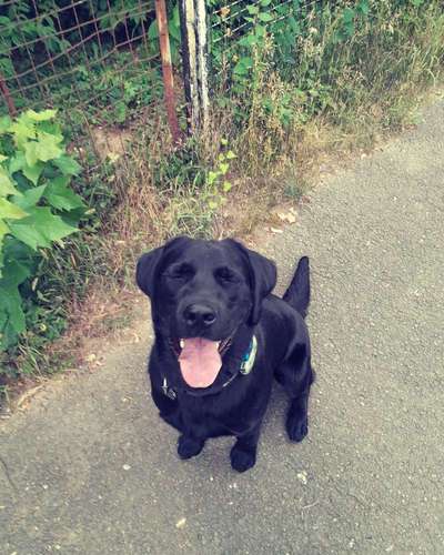 Fotochallenge 87: Im Park-Beitrag-Bild