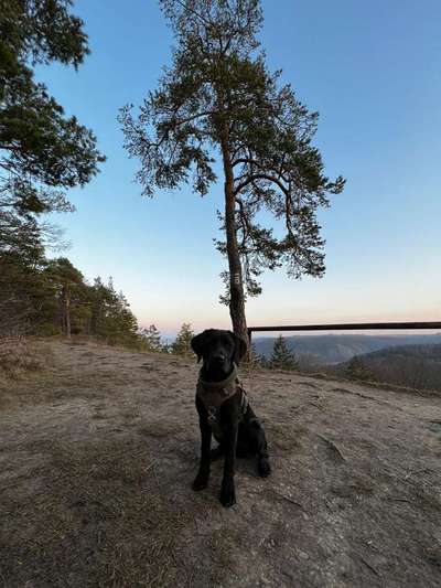 Foto Challenge Nr. 79-Beitrag-Bild