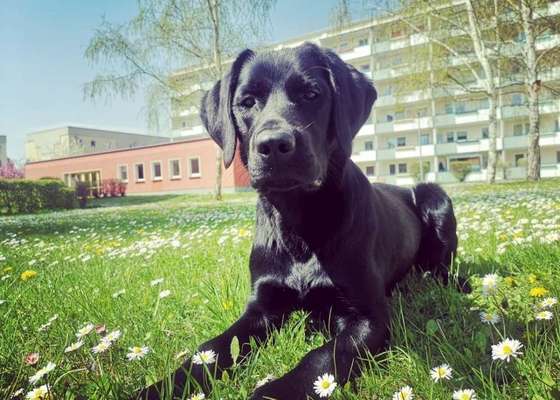 Fotowettbewerb Natur-Beitrag-Bild